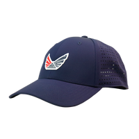 #color_navy-blue