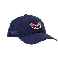 #color_navy-blue
