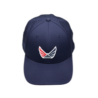 #color_navy-blue